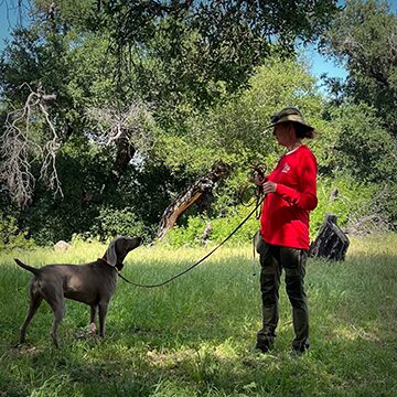Jacqlin Dineen and "Olive", certified human remains detection